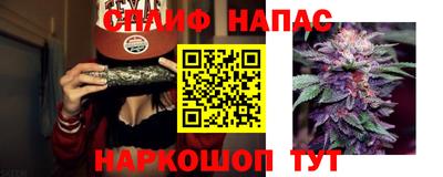 дмт Моздок