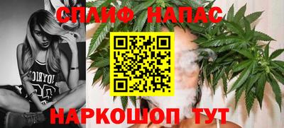 дмт Моздок