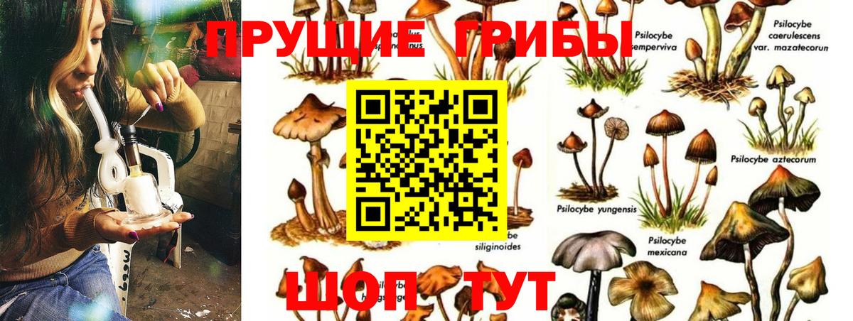Псилоцибиновые грибы ЛСД Усолье-Сибирское