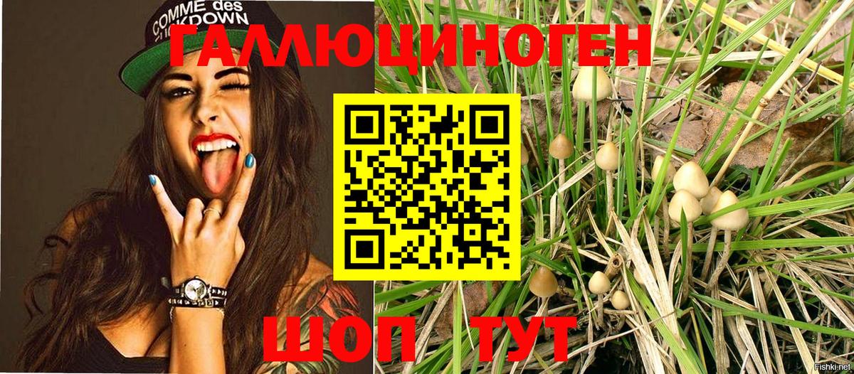 Галлюциногенные грибы Magic Shrooms  Вход с VPN  купить наркотики сайты  Усолье-Сибирское  Галлюциногенные грибы MAGIC MUSHROOMS 